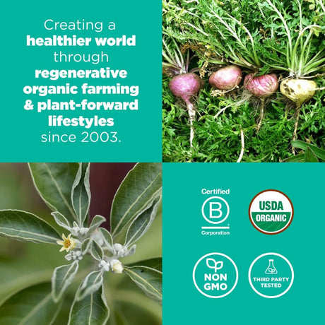 NAVITAS - Navitas Organics Superfood+ Adaptogen Blend for Stress Support Maca + Reishi + Ashwagandha 180Gr. - The Red Vitamin MX - Suplementos Alimenticios - {{ shop.shopifyCountryName }}