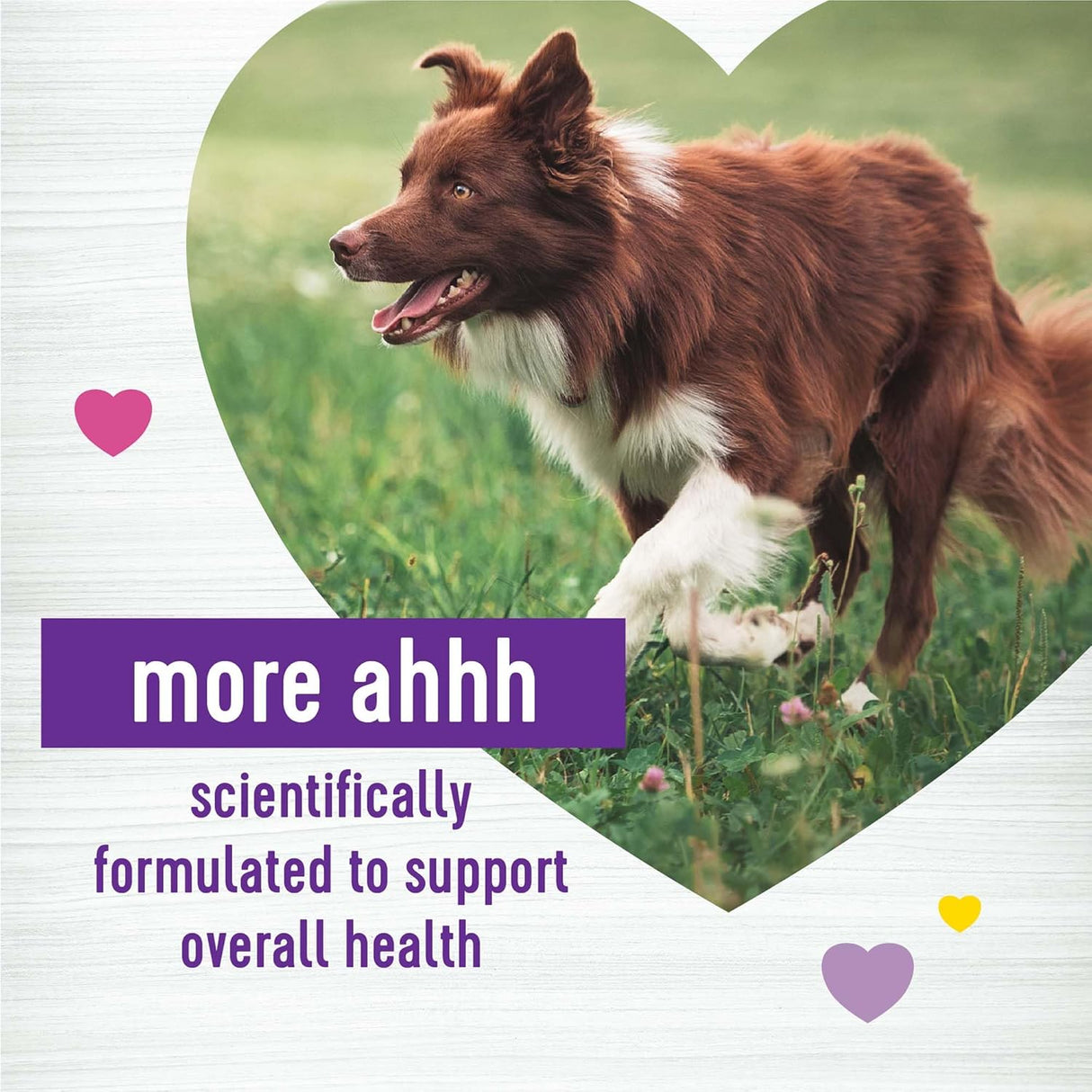 Wellness Multi-Benefit Peanut Butter & Apple Flavored Soft Chews 45 Masticables