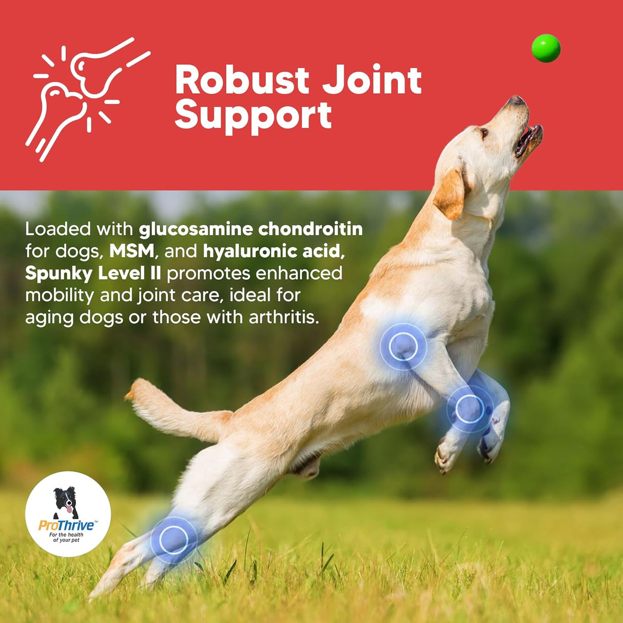 Equerry's Spunky Level II Hip and Joint Supplement for Dogs 453Gr.