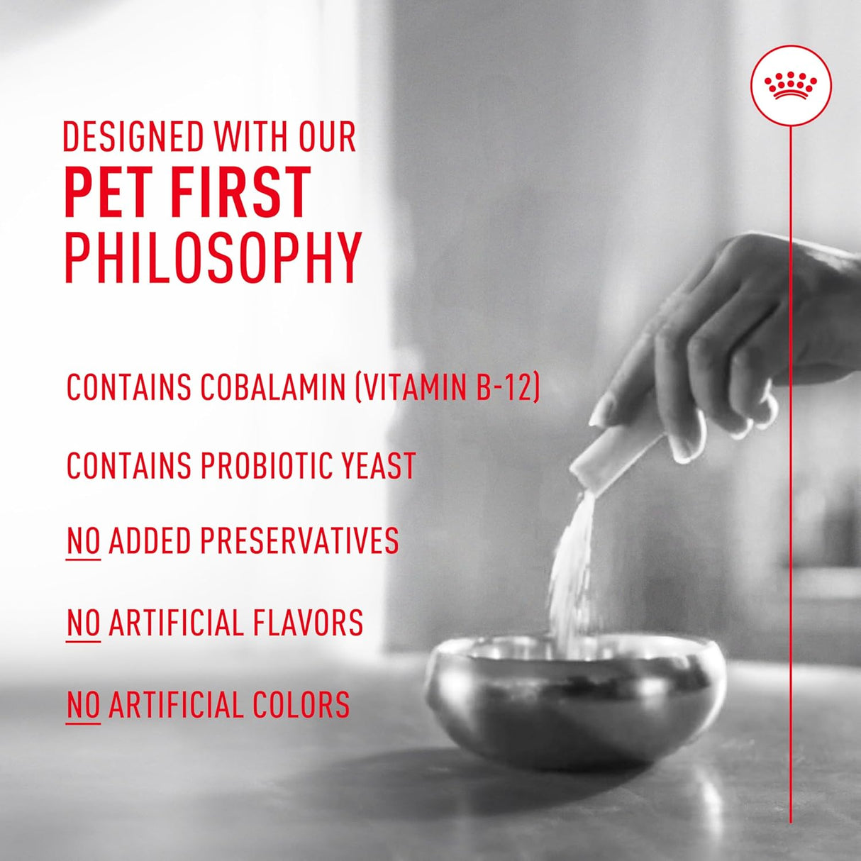 Royal Canin Probiotics for Cats Digestive and Immune Health Powder 30 Paquetes