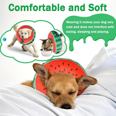 CNEO - Cneo Recovery Donut Collar WATERMELON XLARGE - The Red Vitamin MX - Collares y Conos De Recuperación Para Perros - {{ shop.shopifyCountryName }}