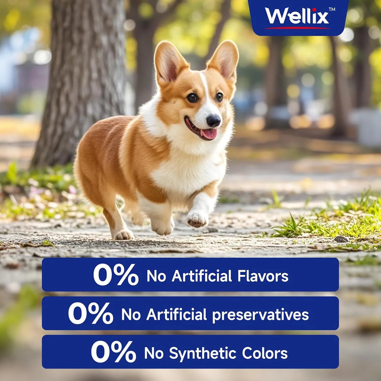 WELLIX - Wellix Omega 3 Fish Oil for Dogs 250Ml. - The Red Vitamin MX - Aceite De Pescado Para Perros - {{ shop.shopifyCountryName }}