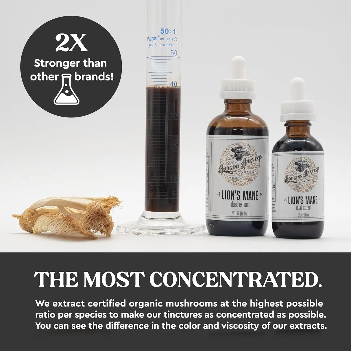 HODGINS HARVEST - Hodgins Harvest Organic Lion's Mane Tincture 2 Fl.Oz. - The Red Vitamin MX - Suplementos Alimenticios - {{ shop.shopifyCountryName }}