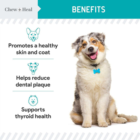 CHEW + HEAL - Chew + Heal Labs Kelp Supplement for Dogs 4 Oz. - The Red Vitamin MX - Suplementos Herbales Para Perros - {{ shop.shopifyCountryName }}