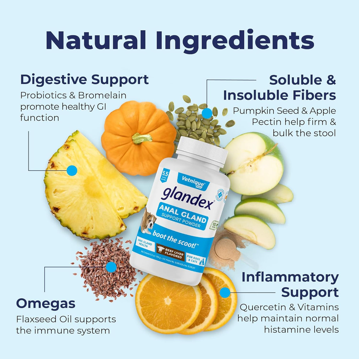 Vetnique Labs Glandex Dog Fiber Supplement Powder Beef Liver 155Gr.