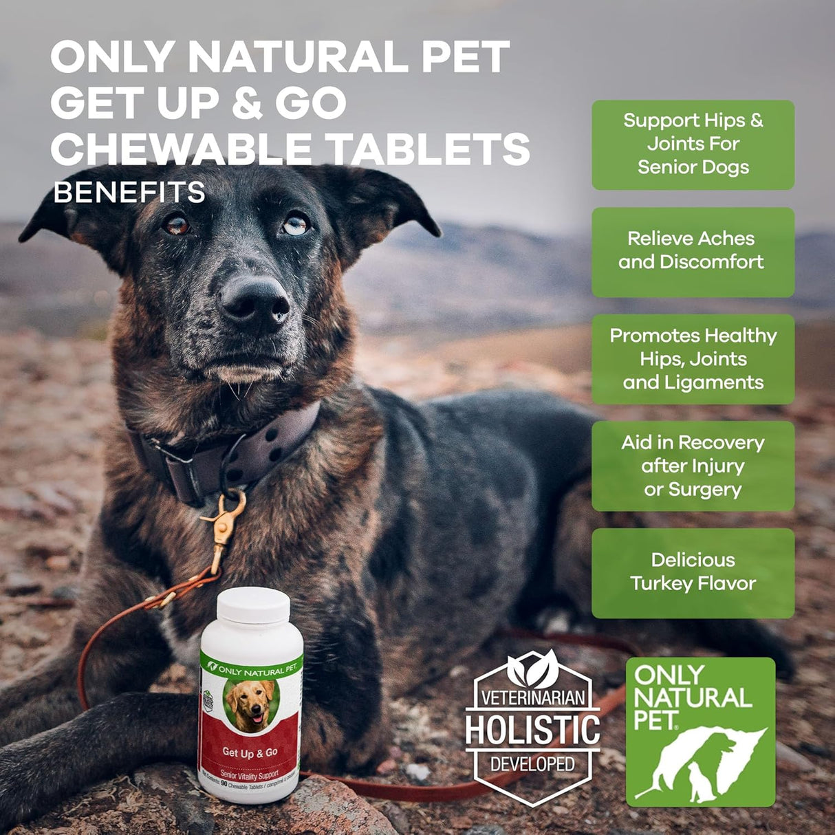 Only Natural Pet Get Up & Go Herbal Joint Support Supplement for Dogs 90 Tabletas Masticables