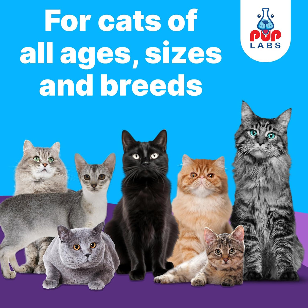 Pup Labs Freedom Joint Drops for Cats 30Ml.