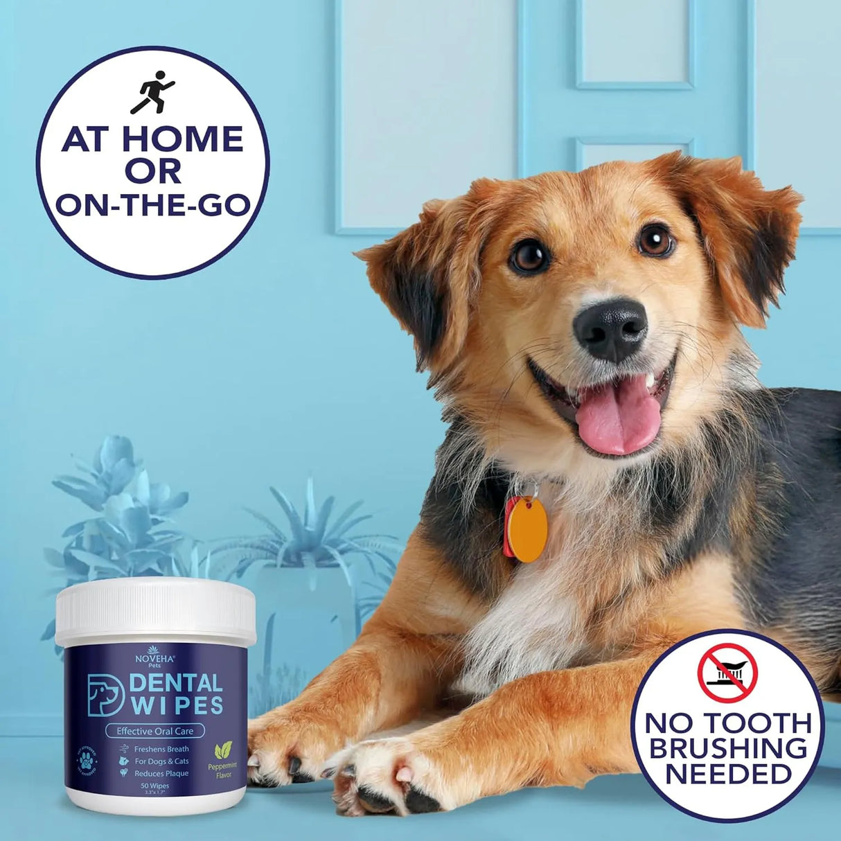 NOVEHA - NOVEHA Pets Dental Finger Wipes for Dogs & Cats Mint 50 Toallitas 2 Pack - The Red Vitamin MX - Cuidado Dental Para Perros - {{ shop.shopifyCountryName }}