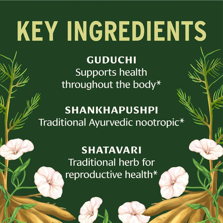 BANYAN - Banyan Botanicals Women’s Natural Transition 90 Tabletas - The Red Vitamin MX - Suplementos Alimenticios - {{ shop.shopifyCountryName }}