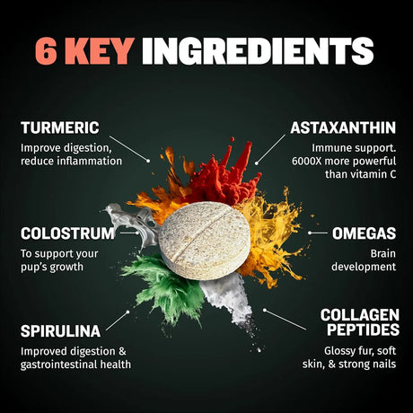 BULLY MAX - Bully Max 2-in-1 Puppy Vitamins 30 Tabletas Masticables - The Red Vitamin MX - Multivitamínicos Para Perros - {{ shop.shopifyCountryName }}