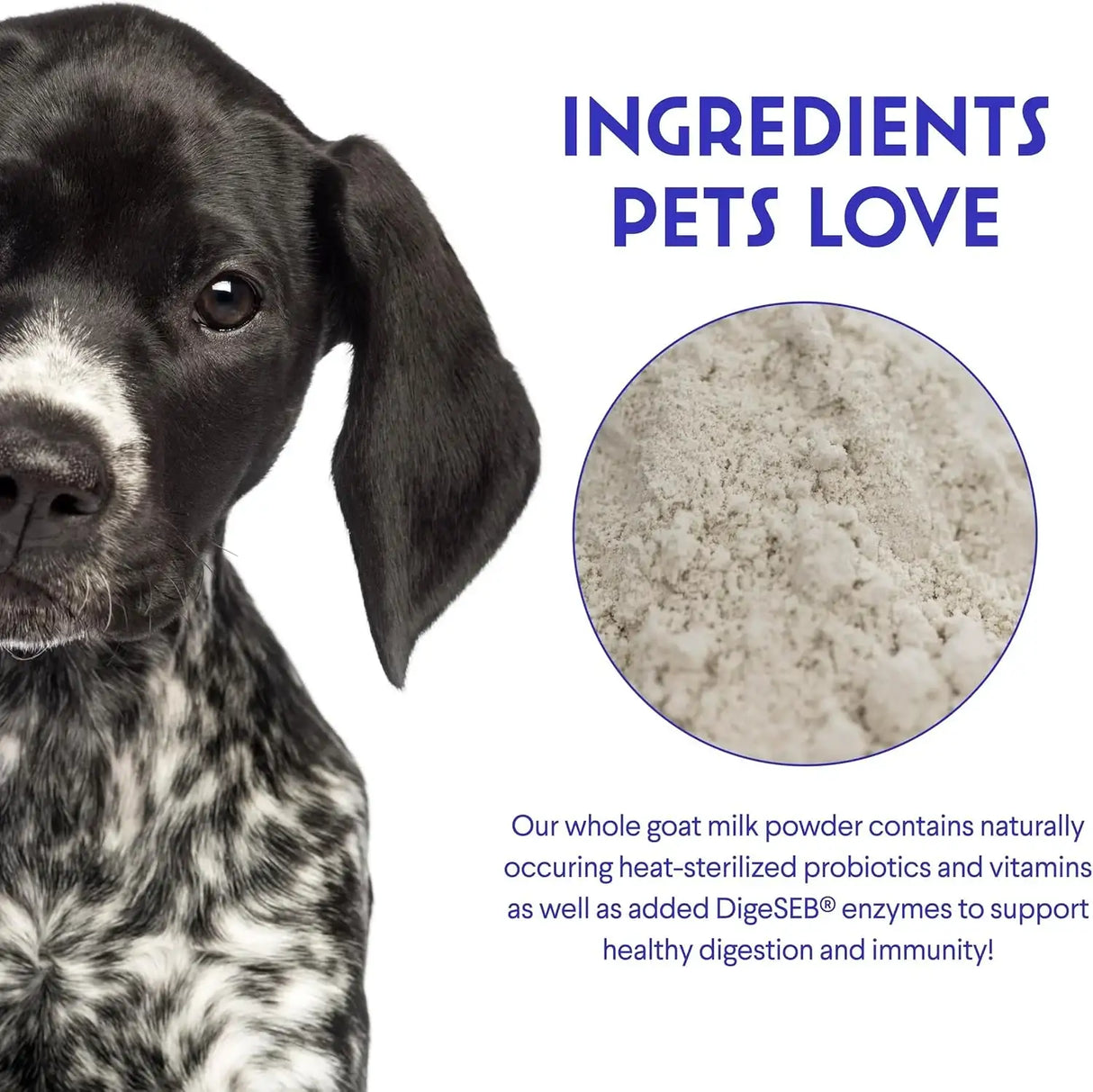 WONDER PAWS - WONDER PAWS Premium Goat Milk Powder for Dogs 234Gr. - The Red Vitamin MX - Sustitutos De Leche Para Perros - {{ shop.shopifyCountryName }}