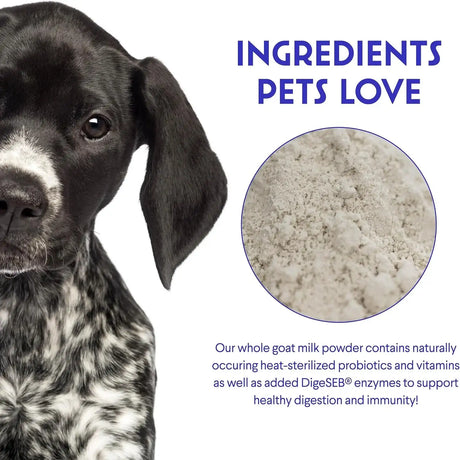 WONDER PAWS - WONDER PAWS Premium Goat Milk Powder for Dogs 234Gr. - The Red Vitamin MX - Sustitutos De Leche Para Perros - {{ shop.shopifyCountryName }}