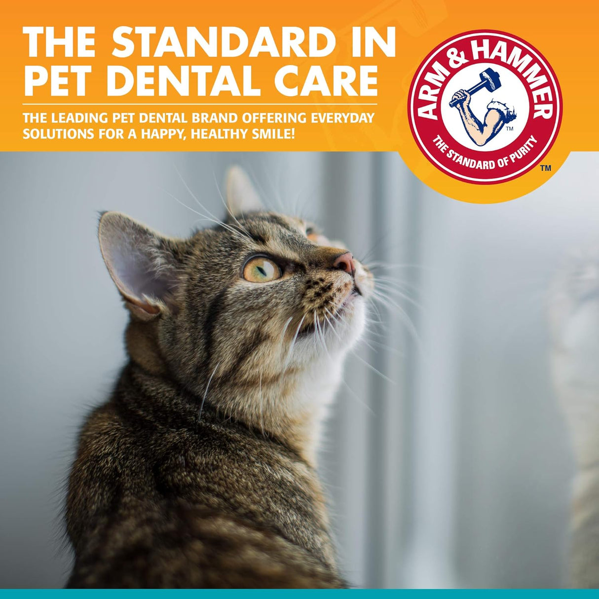 Arm & Hammer for Pets Dental Kit for Cats 2.5 Oz.