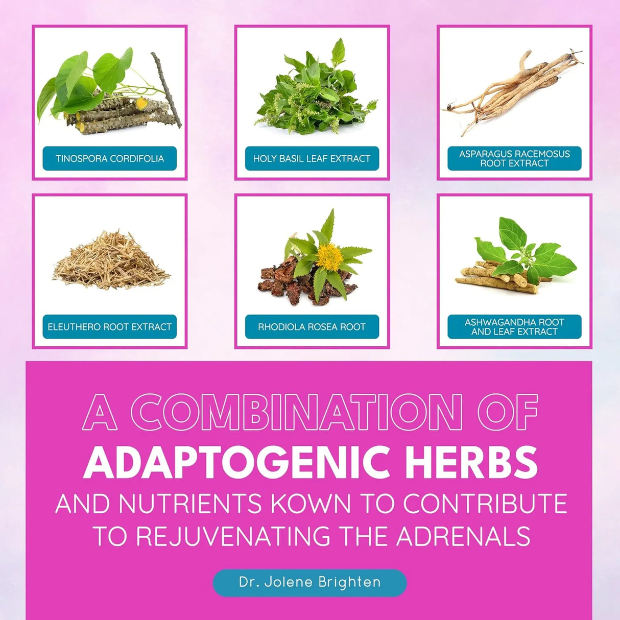 DR. BRIGHTEN - Dr. Brighten Adrenal Support 60 Capsulas - The Red Vitamin MX - Suplementos Alimenticios - {{ shop.shopifyCountryName }}