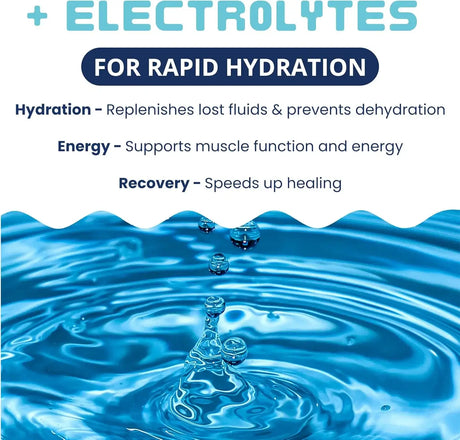 UNDER THE WEATHER - Under the Weather Bland Diet for Dogs Turkey Oatmeal Sweet Potato & Slippery Elm 6 Oz. 2 Pack - The Red Vitamin MX - Medicamentos Sin Receta Para Perros - {{ shop.shopifyCountryName }}