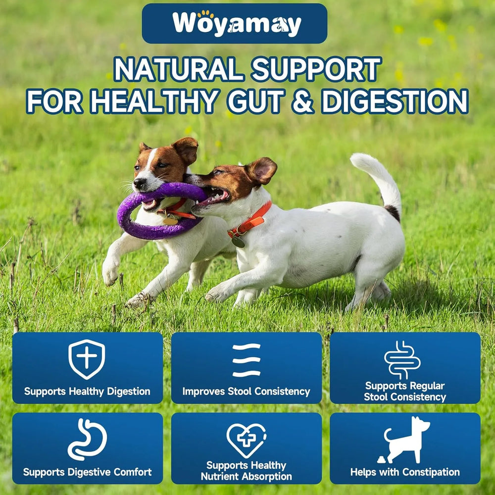 WOYAMAY - Woyamay Dog Probiotic for Dogs 200 Masticables - The Red Vitamin MX - Probióticos Para Perros - {{ shop.shopifyCountryName }}
