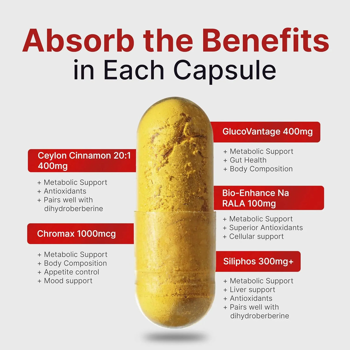 SYNERGY COMPOUNDS NUTRITION - Synergy Compounds Nutrition Advance Berberine Matrix 90 Capsulas - The Red Vitamin MX - Suplementos Alimenticios - {{ shop.shopifyCountryName }}