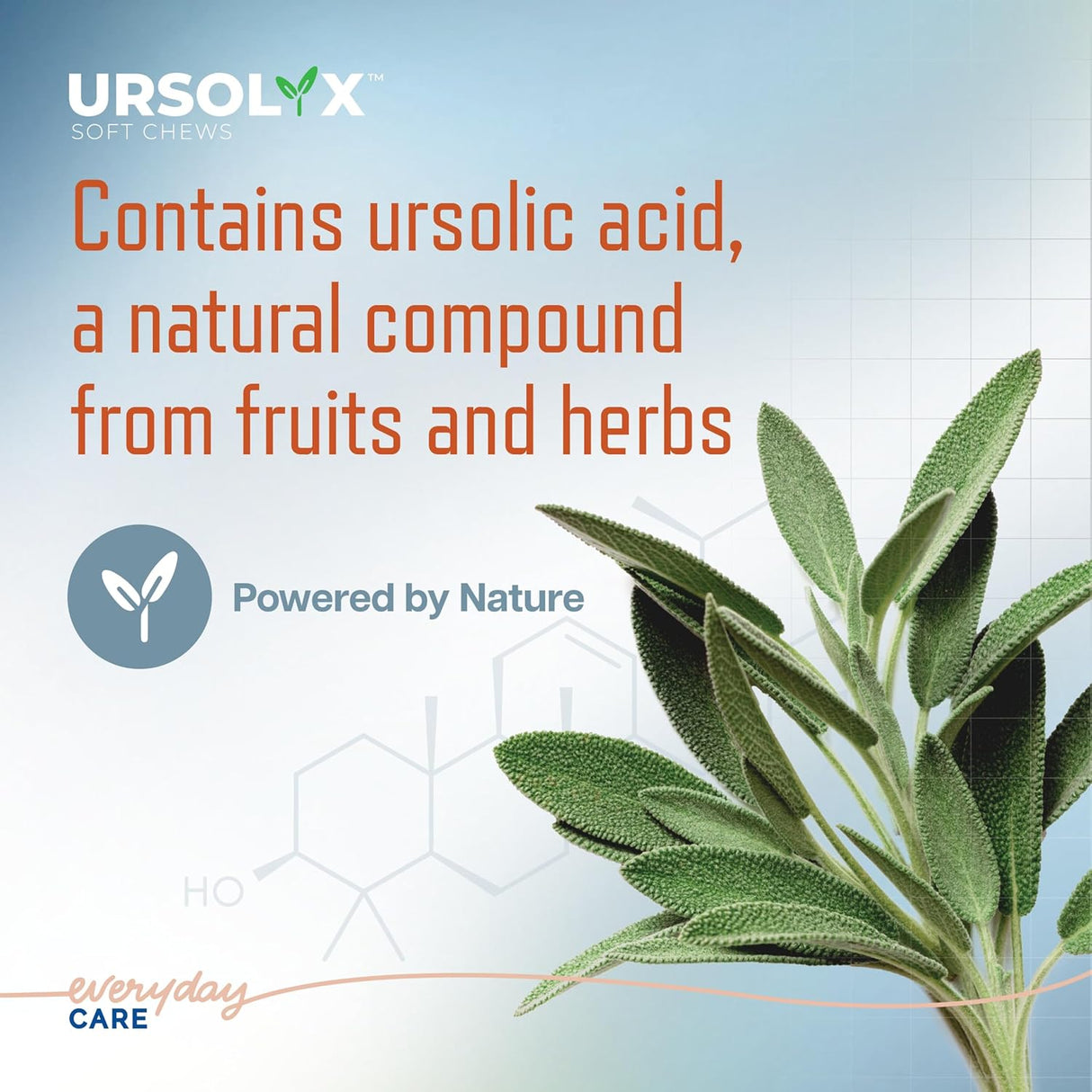 Virbac URSOLYX Soft Chews for Dogs Muscle Health Support 60 Masticables