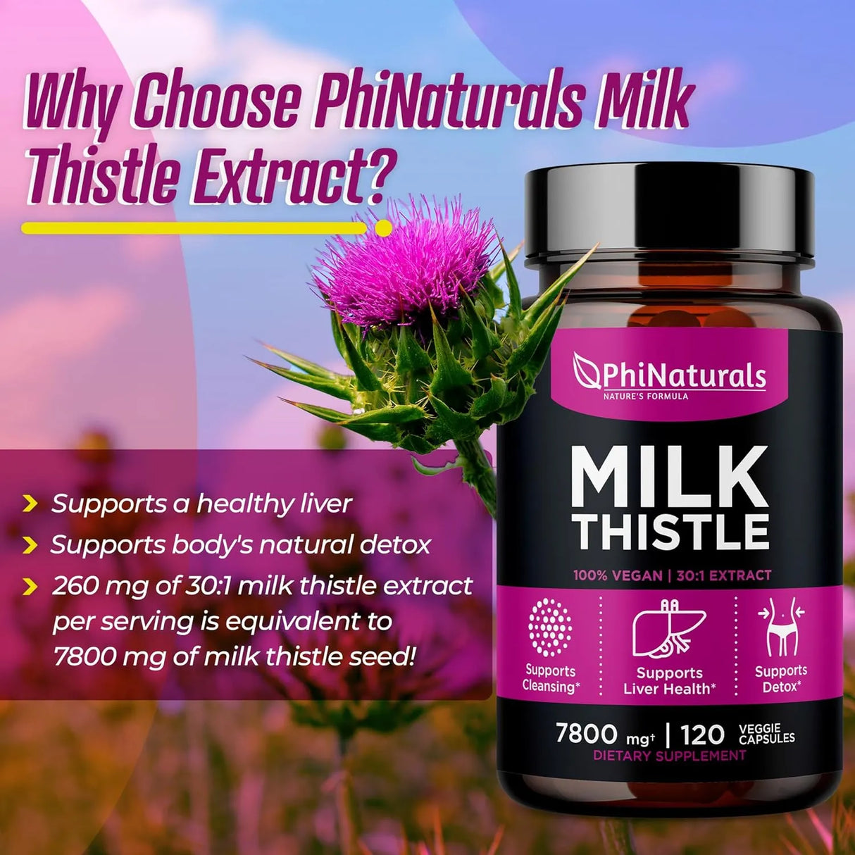 PHINATURALS - PhiNaturals Milk Thistle Extract 260Mg. 120 Capsulas - The Red Vitamin MX - Suplementos Alimenticios - {{ shop.shopifyCountryName }}