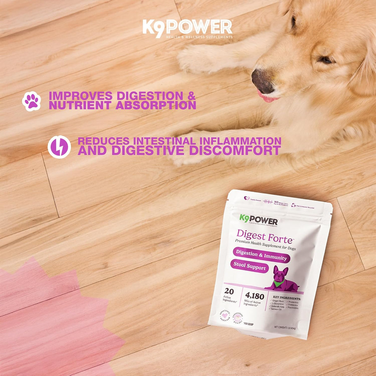 K9 Power Digest Forte for Dogs 454Gr. 2 Pack