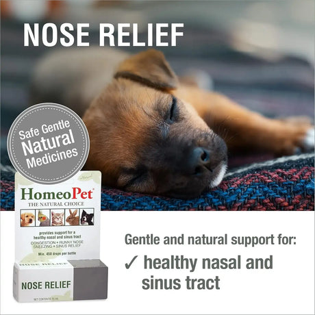 HOMEOPET - HomeoPet Nose Relief Safe and Natural Sinus Supplement 15Ml. - The Red Vitamin MX - Medicamentos Sin Receta Para Perros - {{ shop.shopifyCountryName }}
