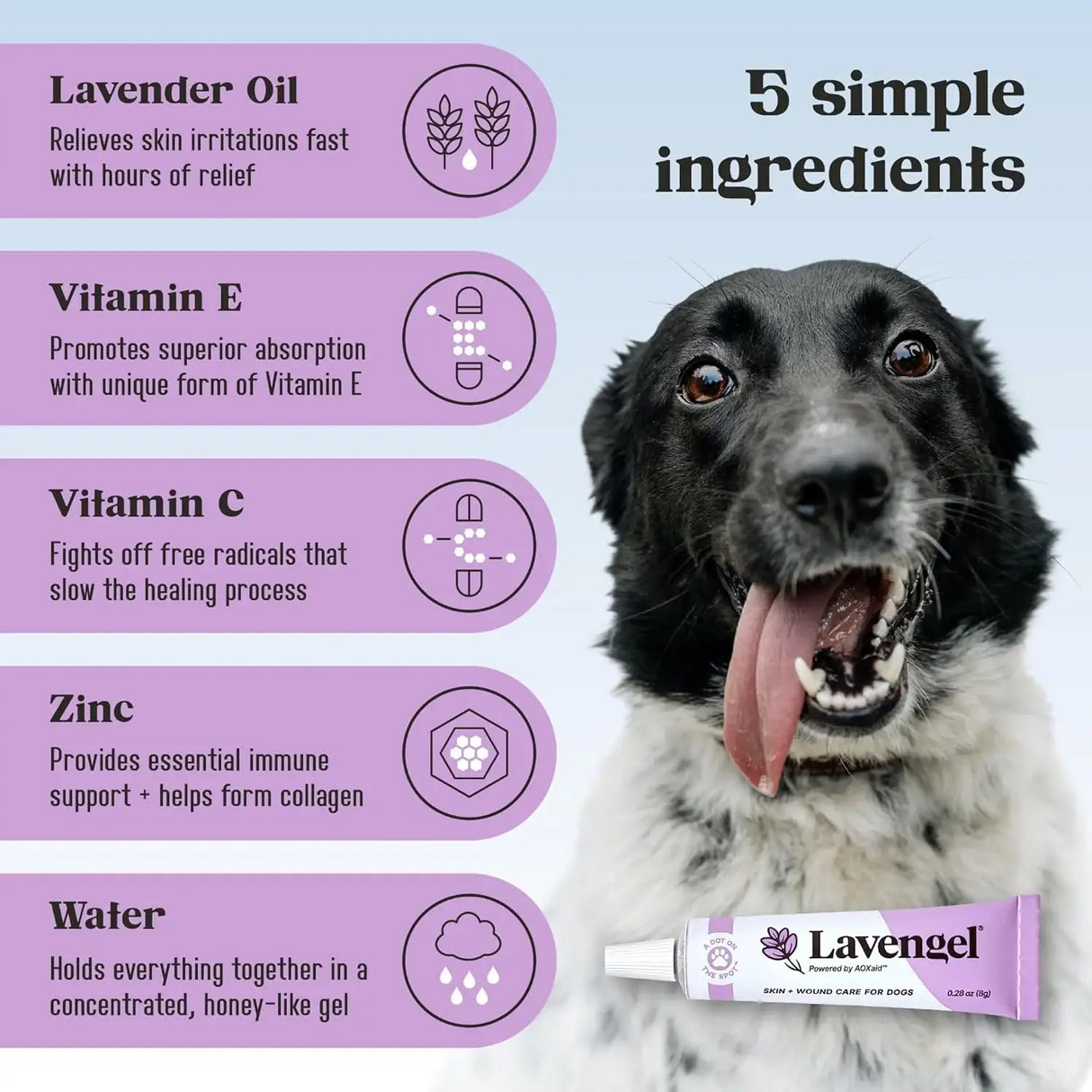 LAVENGEL - Lavengel for Dogs Reduces Skin Irritations and Itching 8Gr. - The Red Vitamin MX - Remedios Para La Picazón De Perros - {{ shop.shopifyCountryName }}