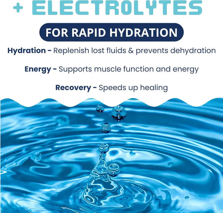 UNDER THE WEATHER - Under the Weather Bland Diet for Dogs Chicken Rice 6 Oz. - The Red Vitamin MX - Medicamentos Sin Receta Para Perros - {{ shop.shopifyCountryName }}