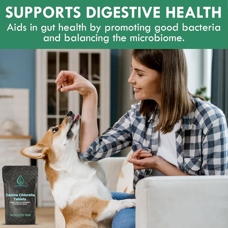 HOLISTIC BIN - Holistic Bin Canine Chlorella Tablets 100 Tabletas - The Red Vitamin MX - Suplementos Herbales Para Perros - {{ shop.shopifyCountryName }}