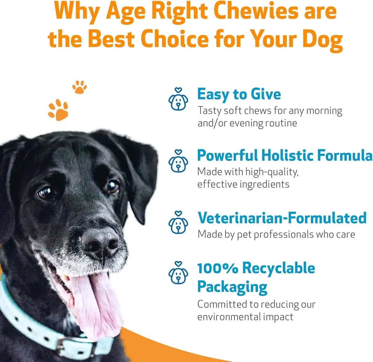 PET WELLBEING - Pet Wellbeing Age Right Chewies for Dogs in their Prime & Senior Years 90 Masticables - The Red Vitamin MX - Multivitamínicos Para Perros - {{ shop.shopifyCountryName }}