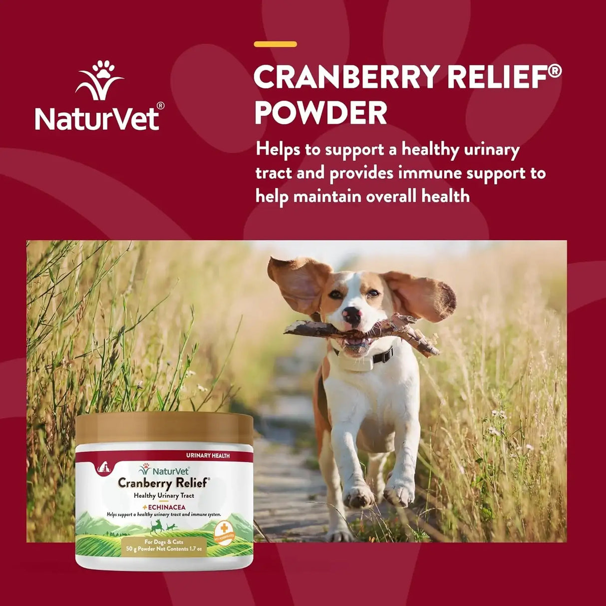 NATURVET - NaturVet Cranberry Relief Plus Echinacea Powder 50Gr. - The Red Vitamin MX - Salud De Tracto Urinario Para Perros - {{ shop.shopifyCountryName }}