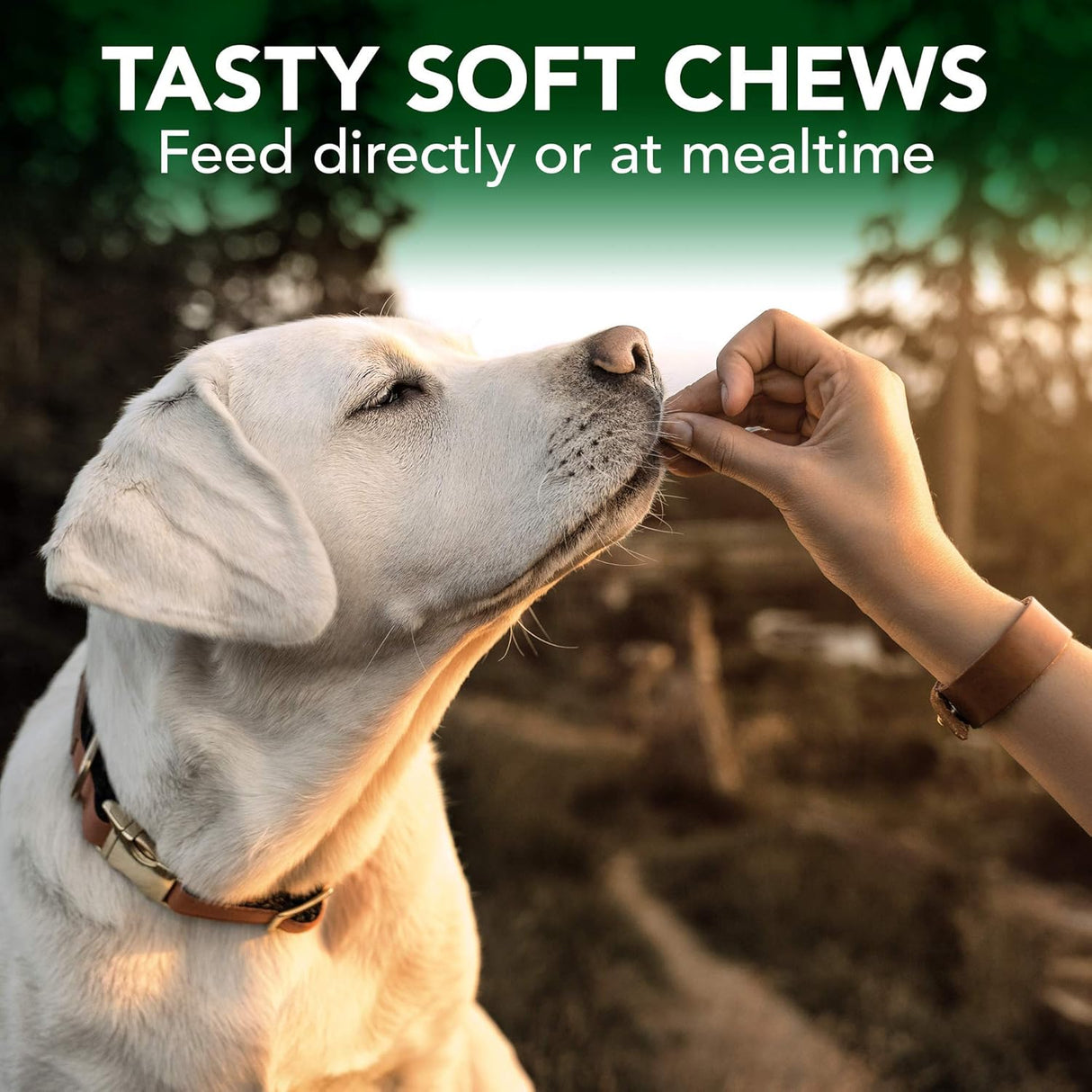 Vet's Best Seasonal Allergy Relief Soft Chews for Dogs 30 Masticables