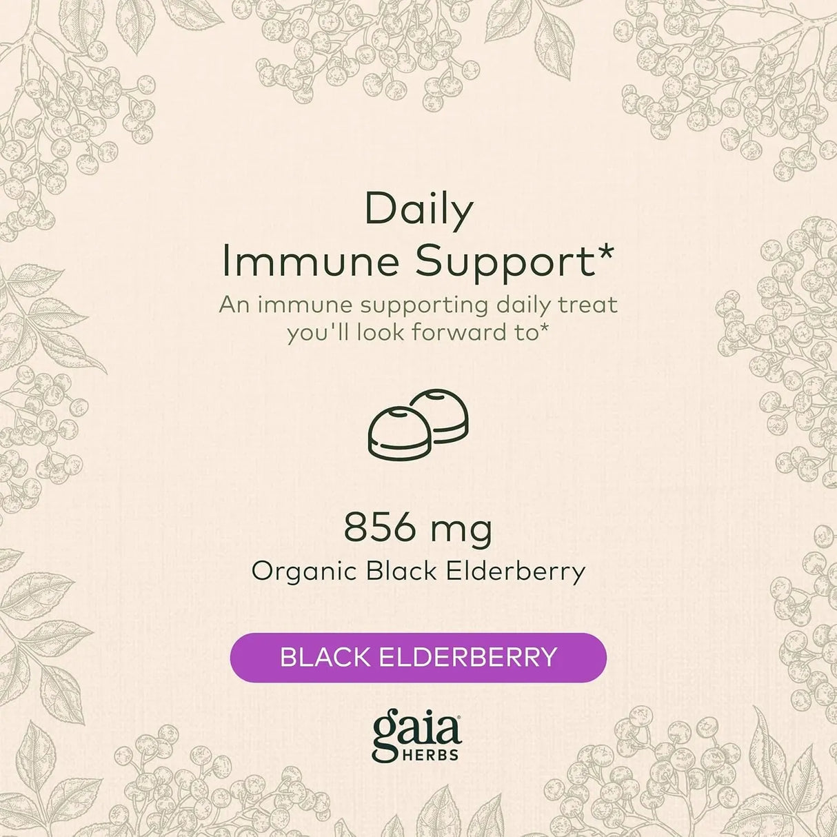 GAIA HERBS - Gaia Herbs Black Elderberry 40 Gomitas - The Red Vitamin MX - Suplementos Alimenticios - {{ shop.shopifyCountryName }}