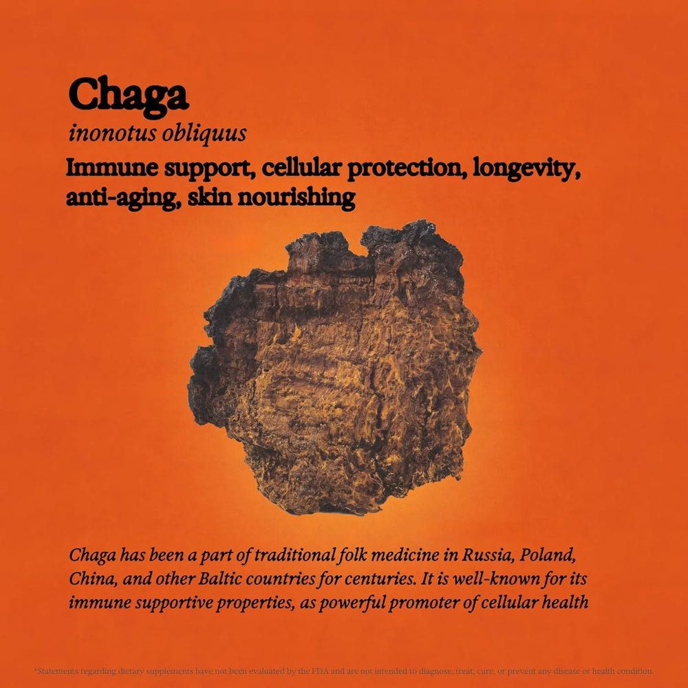 RAINBO - Rainbo Chaga Mushroom Tincture 3.4 Fl.Oz. - The Red Vitamin MX - Suplementos Alimenticios - {{ shop.shopifyCountryName }}