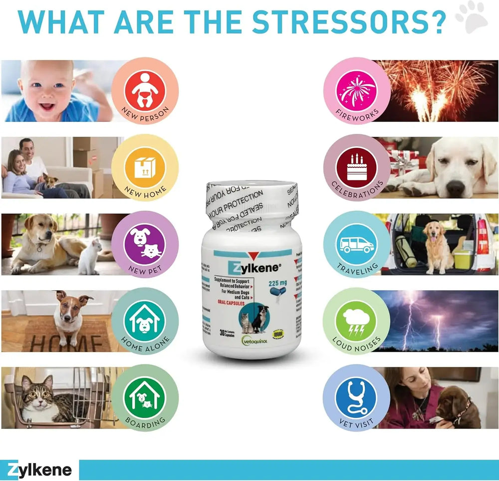 VETOQUINOL - Vetoquinol Zylkene Behavior Support Capsules for Medium Dogs 33-65lbs 30 Capsulas - The Red Vitamin MX - Relajantes Para Perros - {{ shop.shopifyCountryName }}