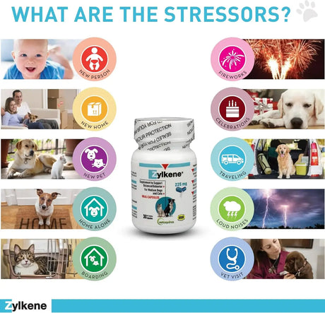 VETOQUINOL - Vetoquinol Zylkene Behavior Support Capsules for Medium Dogs 33-65lbs 30 Capsulas - The Red Vitamin MX - Relajantes Para Perros - {{ shop.shopifyCountryName }}