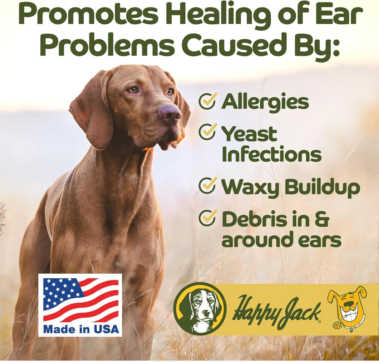HAPPY JACK - HAPPY JACK Dog Ear Wipes with Aloe 100 Toallitas - The Red Vitamin MX - Cuidado Del Oído De Perros - {{ shop.shopifyCountryName }}