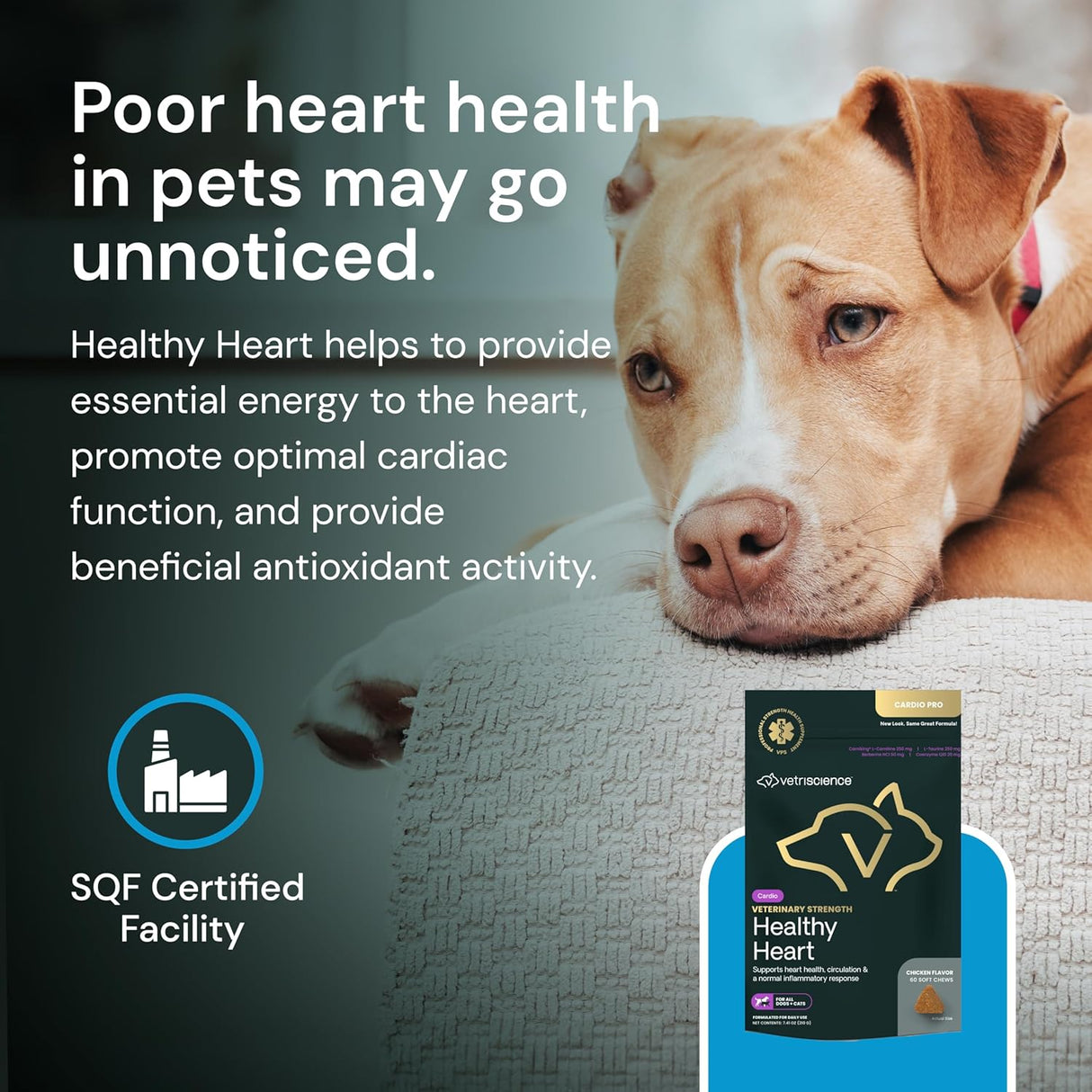 VetriScience Veterinary Strength Healthy Heart 60 Masticables
