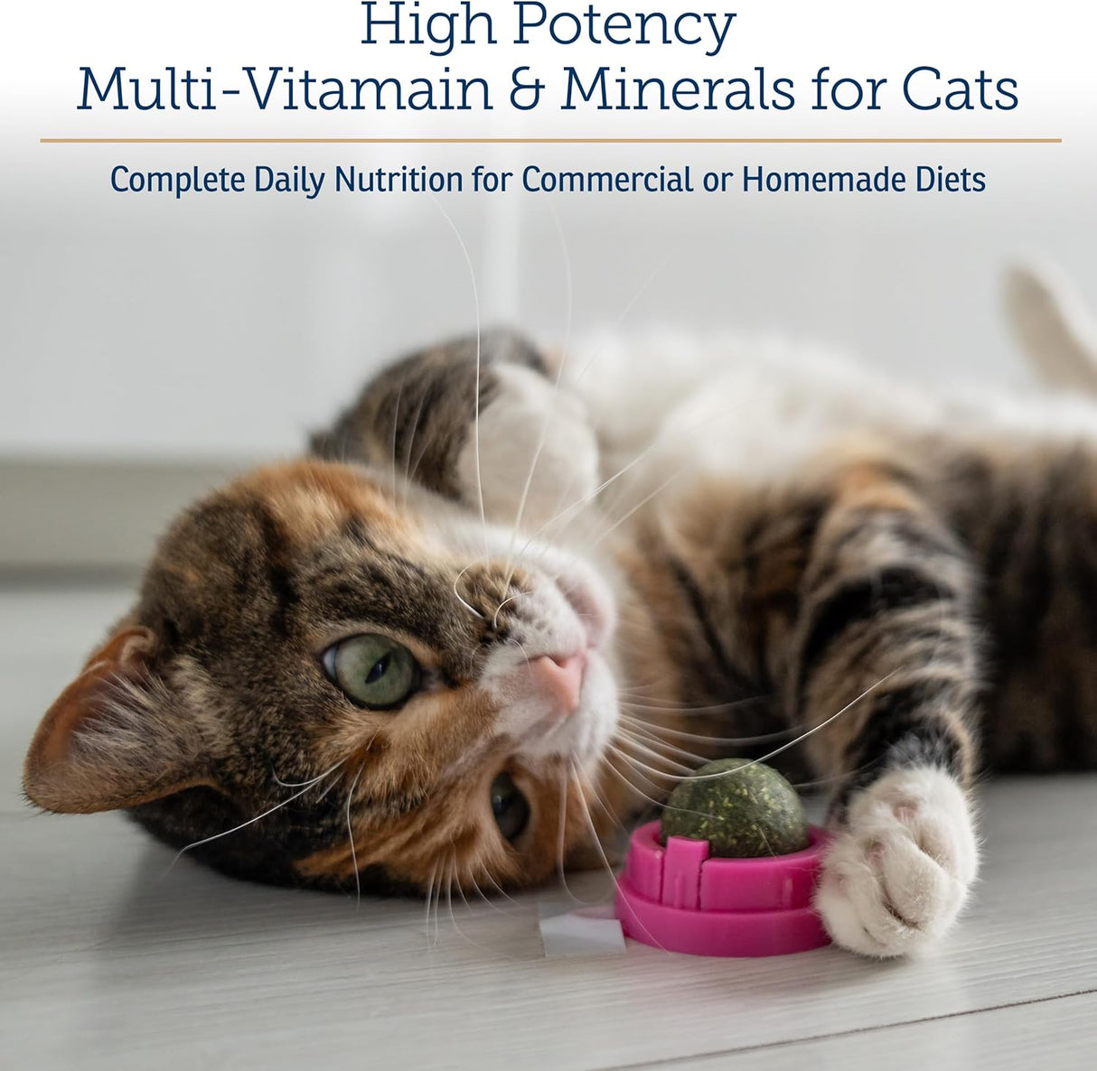 Rx Vitamins Essentials for Cats Powder 113Gr.