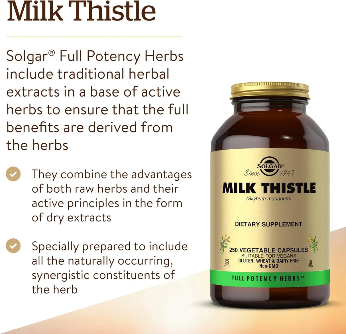 SOLGAR - Solgar Milk Thistle 100Mg. 250 Capsulas - The Red Vitamin MX - Suplementos Alimenticios - {{ shop.shopifyCountryName }}