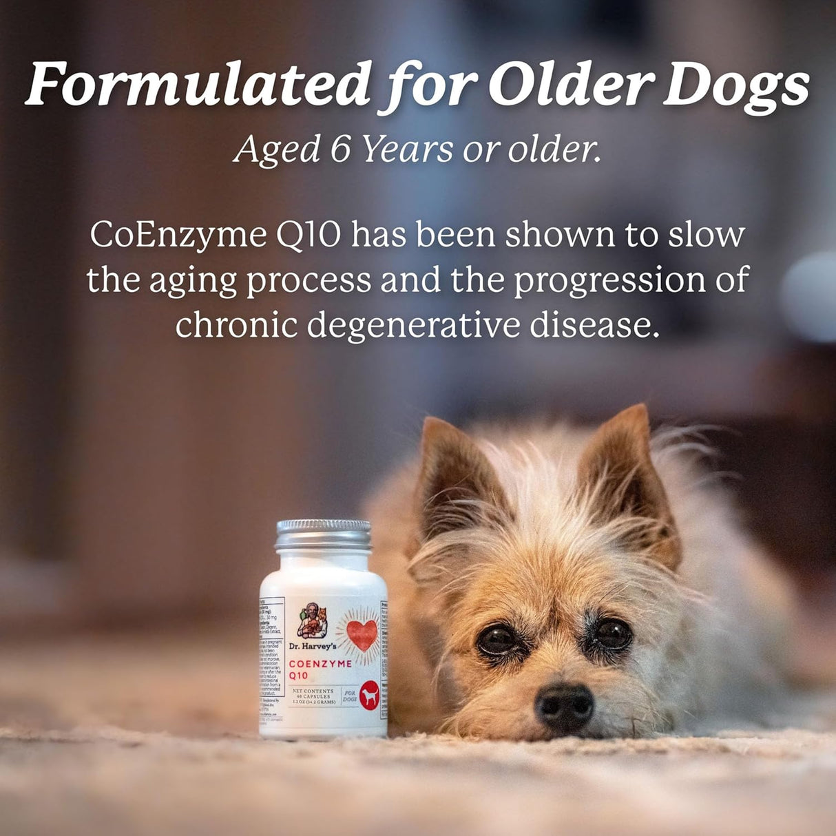 Dr. Harvey's Coenzyme Q10 Heart & Cardiovascular Support Supplements for Dogs 60 Capsulas