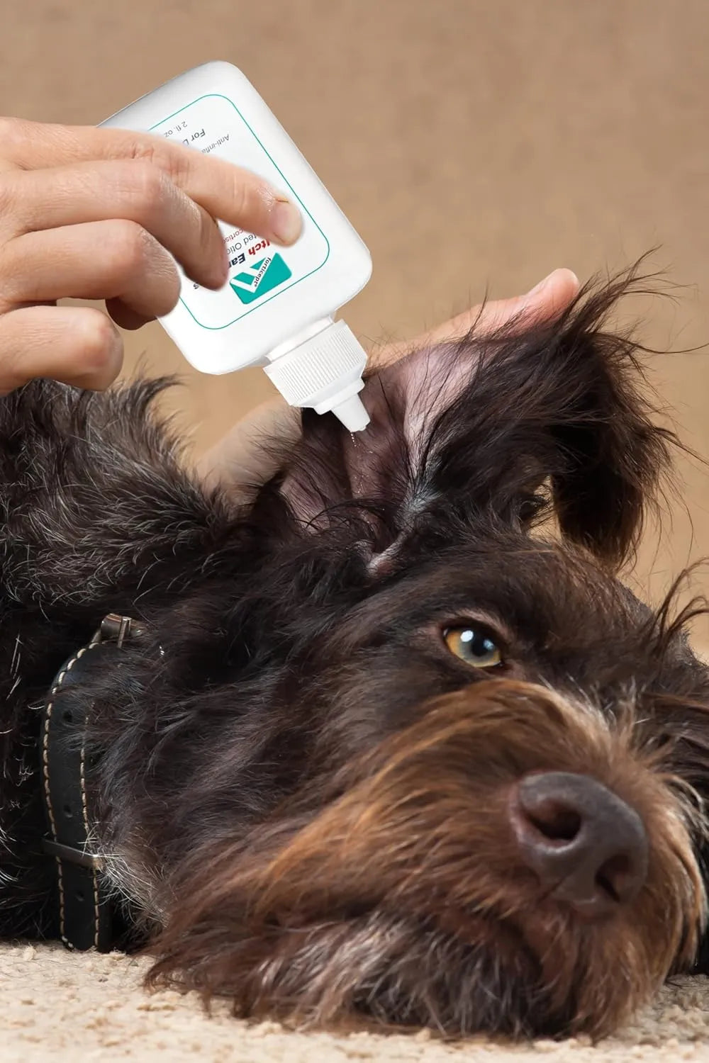 FORTICEP - Forticept Dog and Cat Ear Infection Treatment 2 Fl.Oz. - The Red Vitamin MX - Cuidado Del Oído De Perros - {{ shop.shopifyCountryName }}