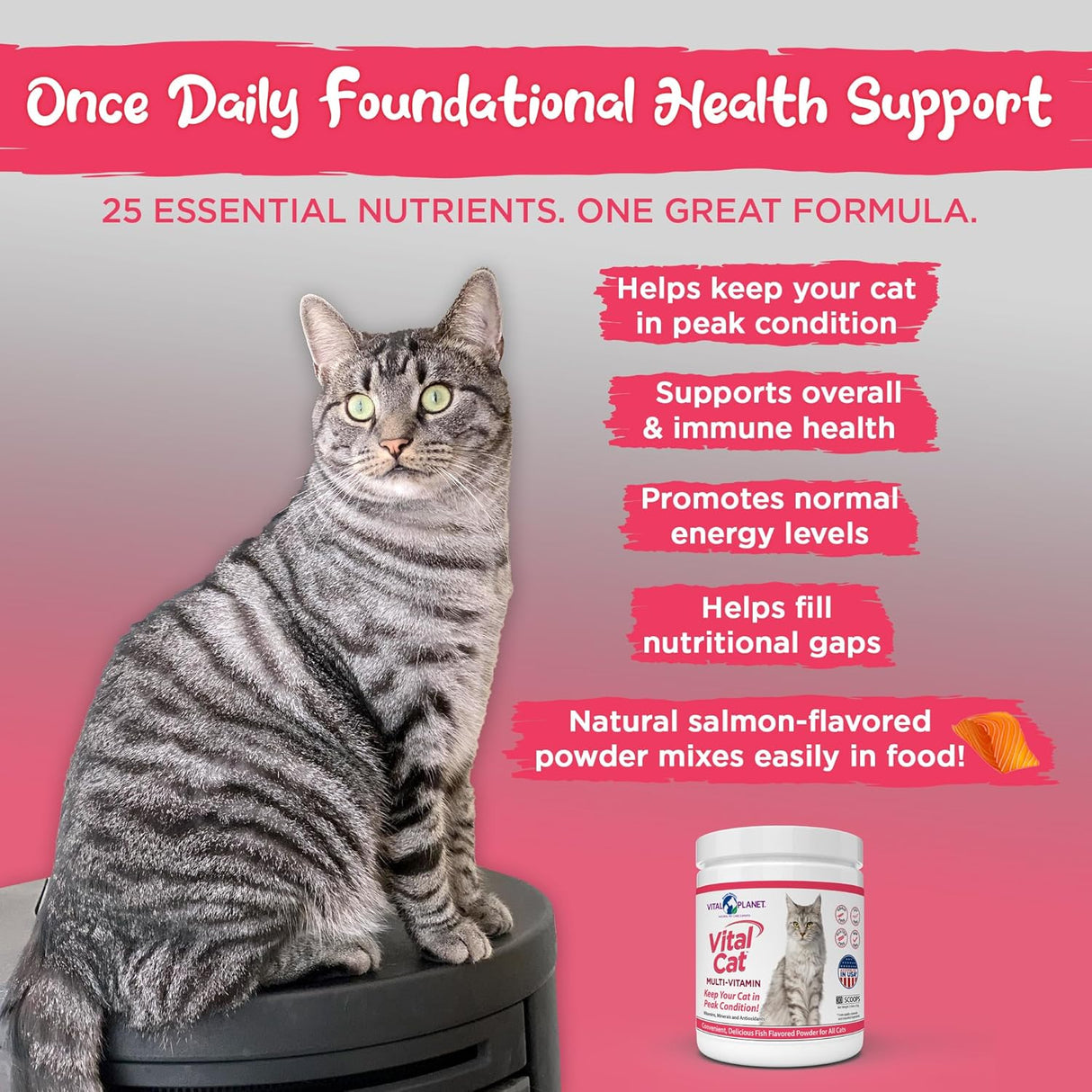Vital Planet Vital Cat Multi Vitamin Mineral and Antioxidant Powder for Cats 30 Servicios 75Gr.