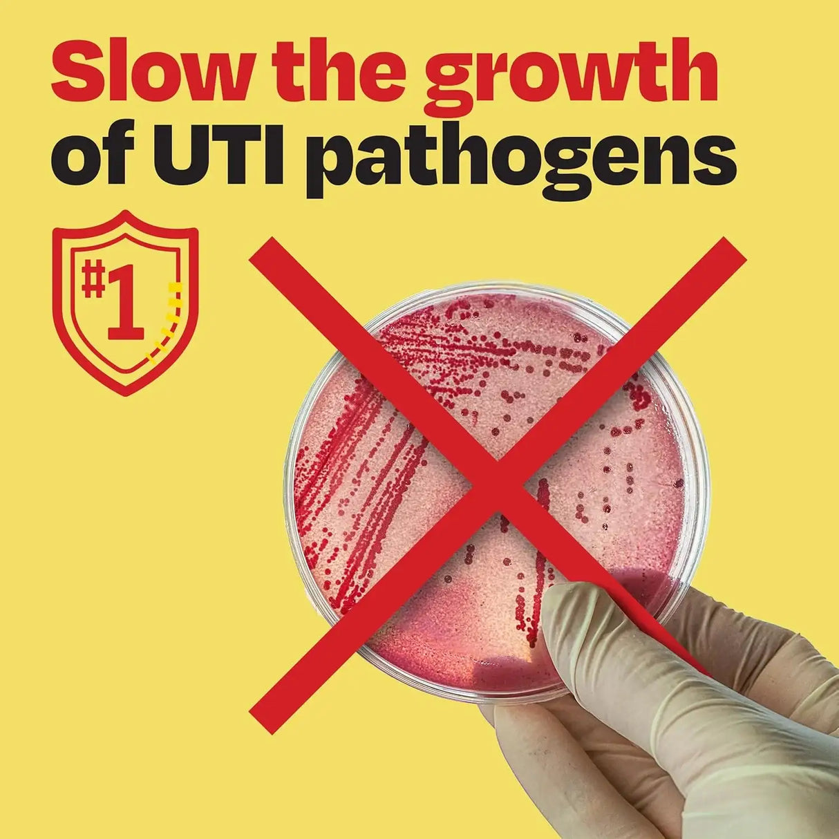 CYSTEX - Cystex Dual Action UTI Pain Relief & Prevention Tablets 48 Tabletas - The Red Vitamin MX - Suplementos Alimenticios - {{ shop.shopifyCountryName }}