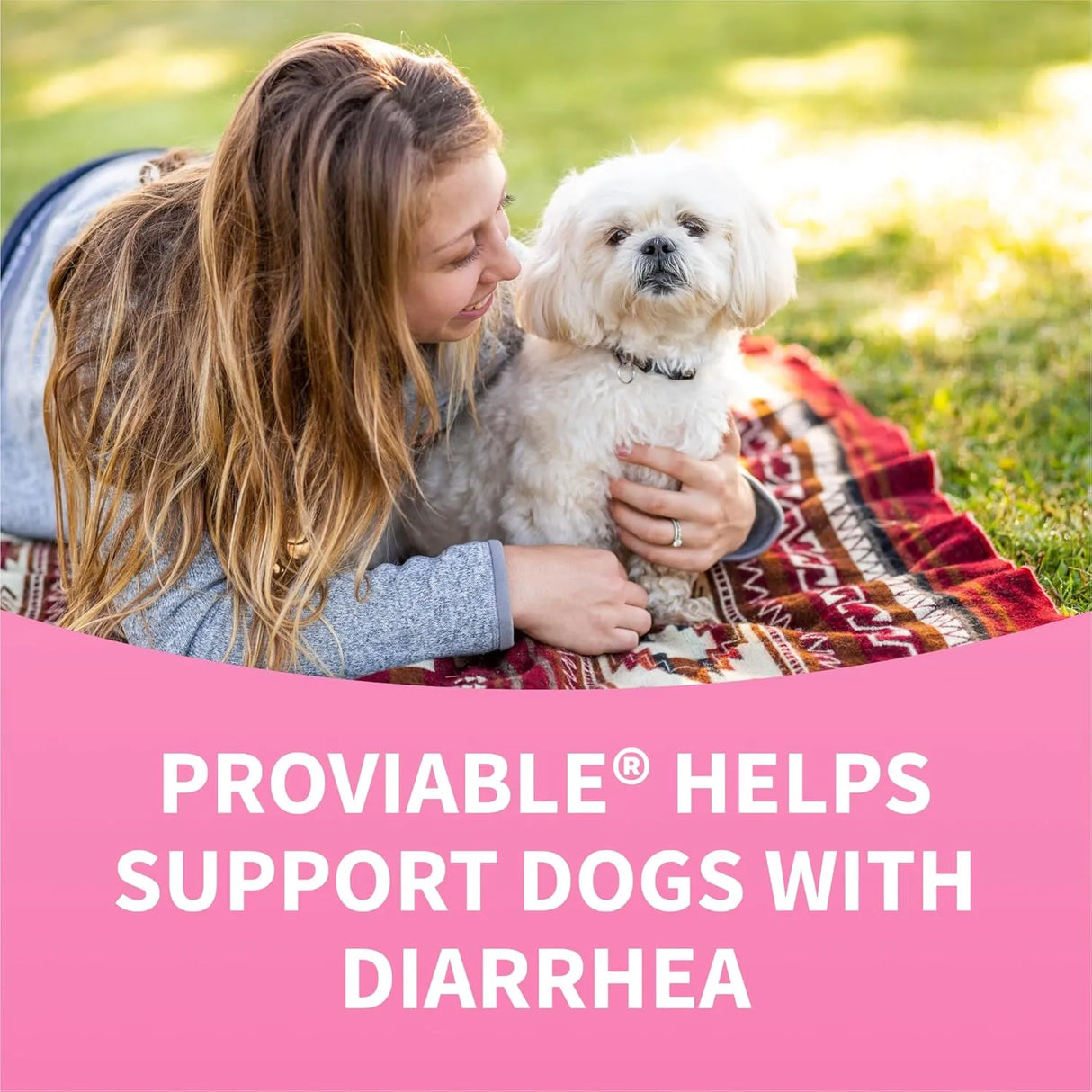 NUTRAMAX - Nutramax Proviable Probiotics for Dogs 60 Tabletas Masticables - The Red Vitamin MX - Probióticos Para Perros - {{ shop.shopifyCountryName }}