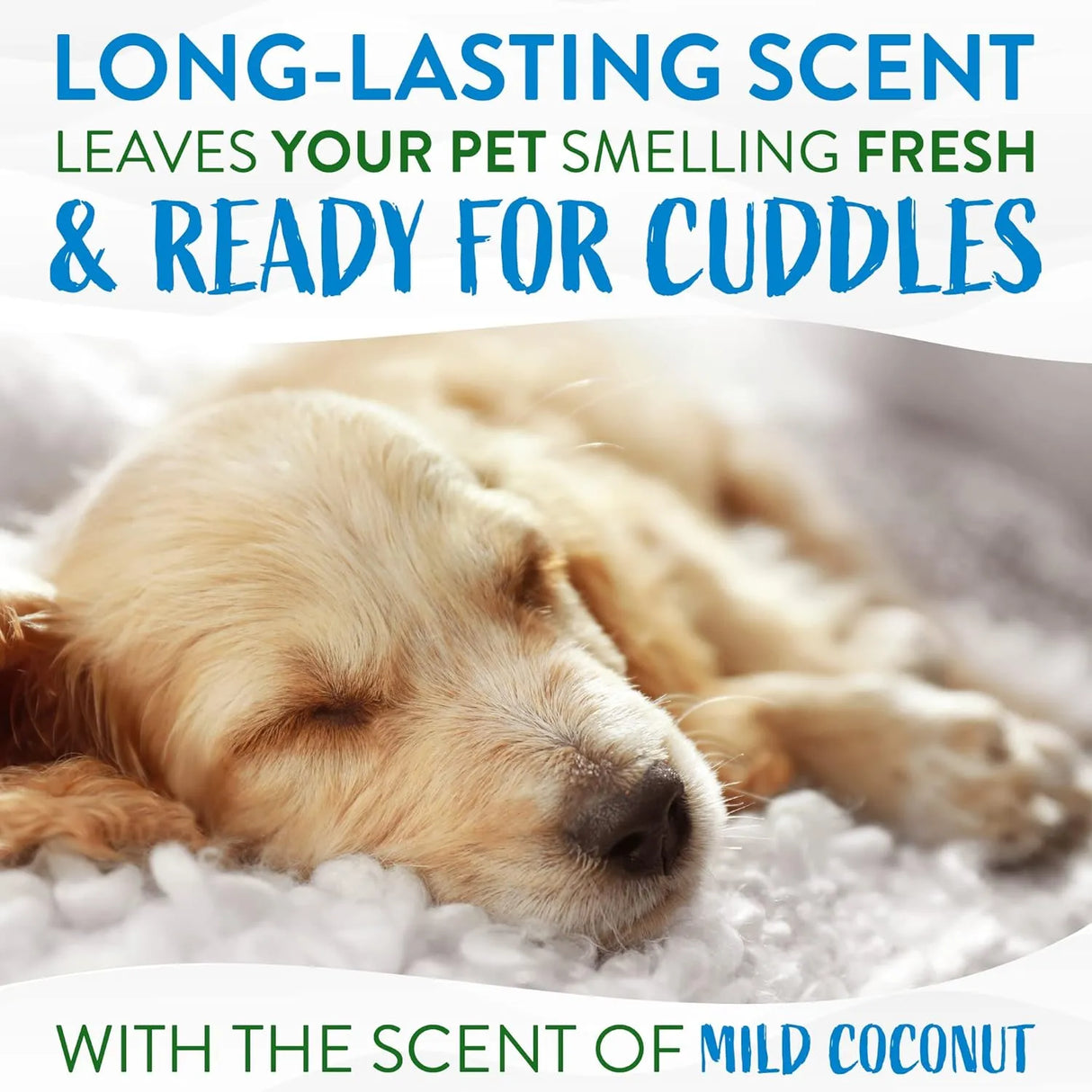 TROPICLEAN - TropiClean Dog Ear Wipes 50 Toallitas - The Red Vitamin MX - Cuidado Del Oído De Perros - {{ shop.shopifyCountryName }}