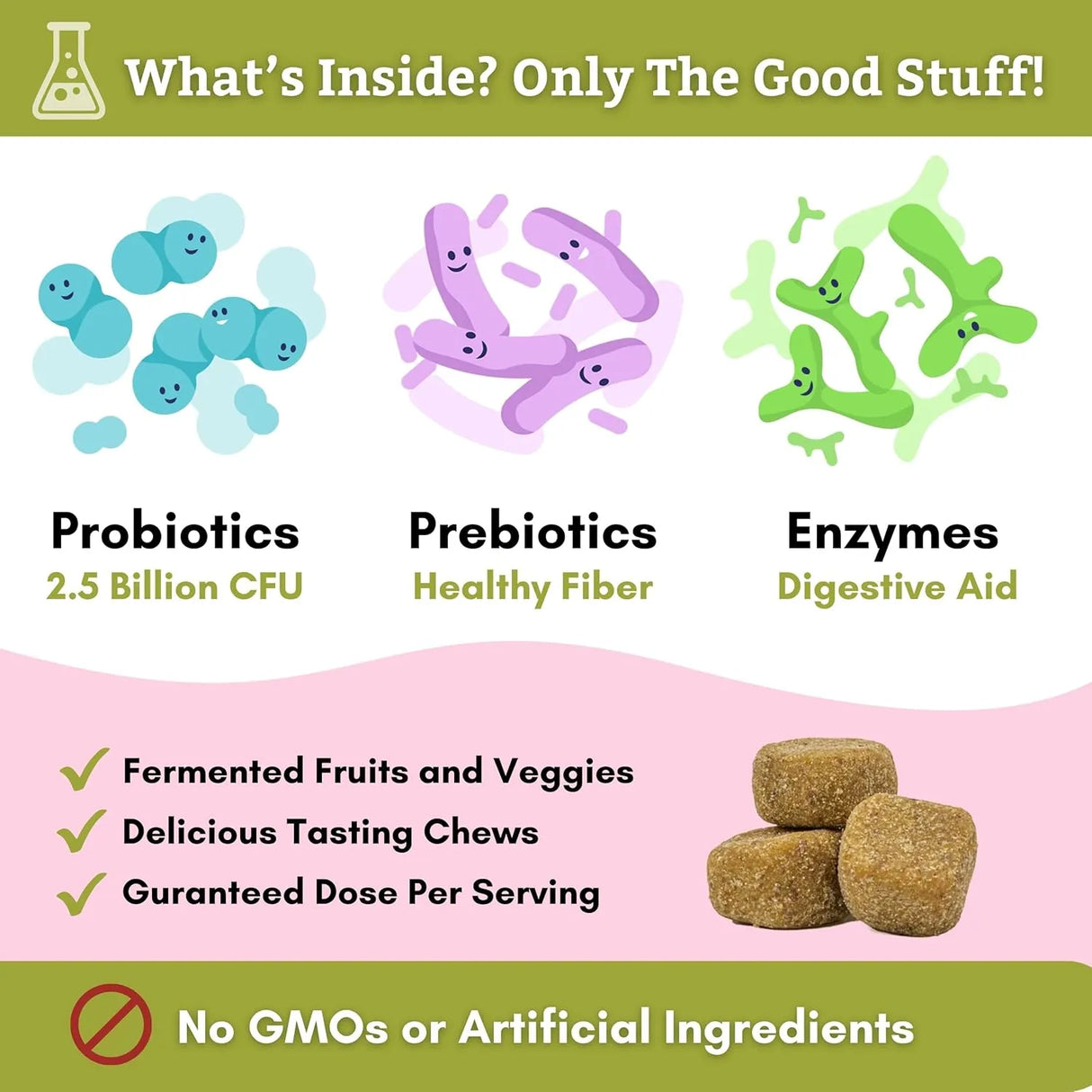 WHOLISTIC PET ORGANICS - Wholistic Pet Organics: Probiotic Chews for Dogs 120 Masticables - The Red Vitamin MX - Probióticos Para Perros - {{ shop.shopifyCountryName }}