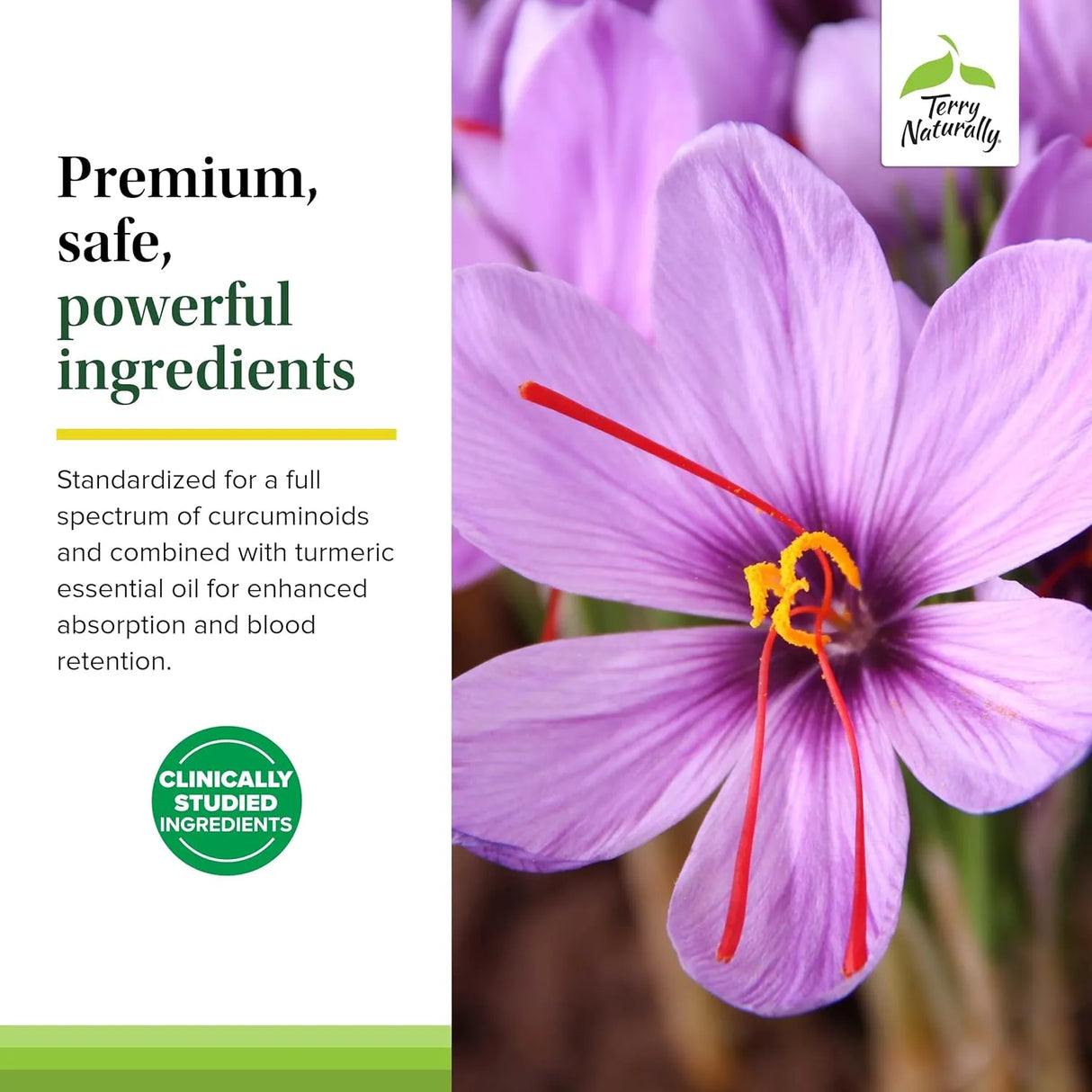 TERRY NATURALLY - Terry Naturally Saffron Lift + Curcumin 60 Capsulas - The Red Vitamin MX - Suplementos Alimenticios - {{ shop.shopifyCountryName }}