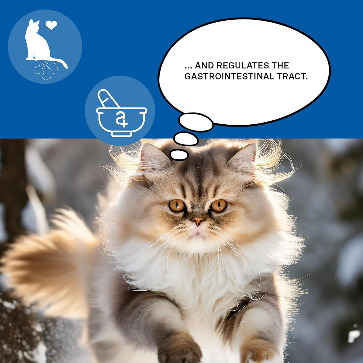 animaux Gastro Balance for Cats 90 Tabletas Masticables