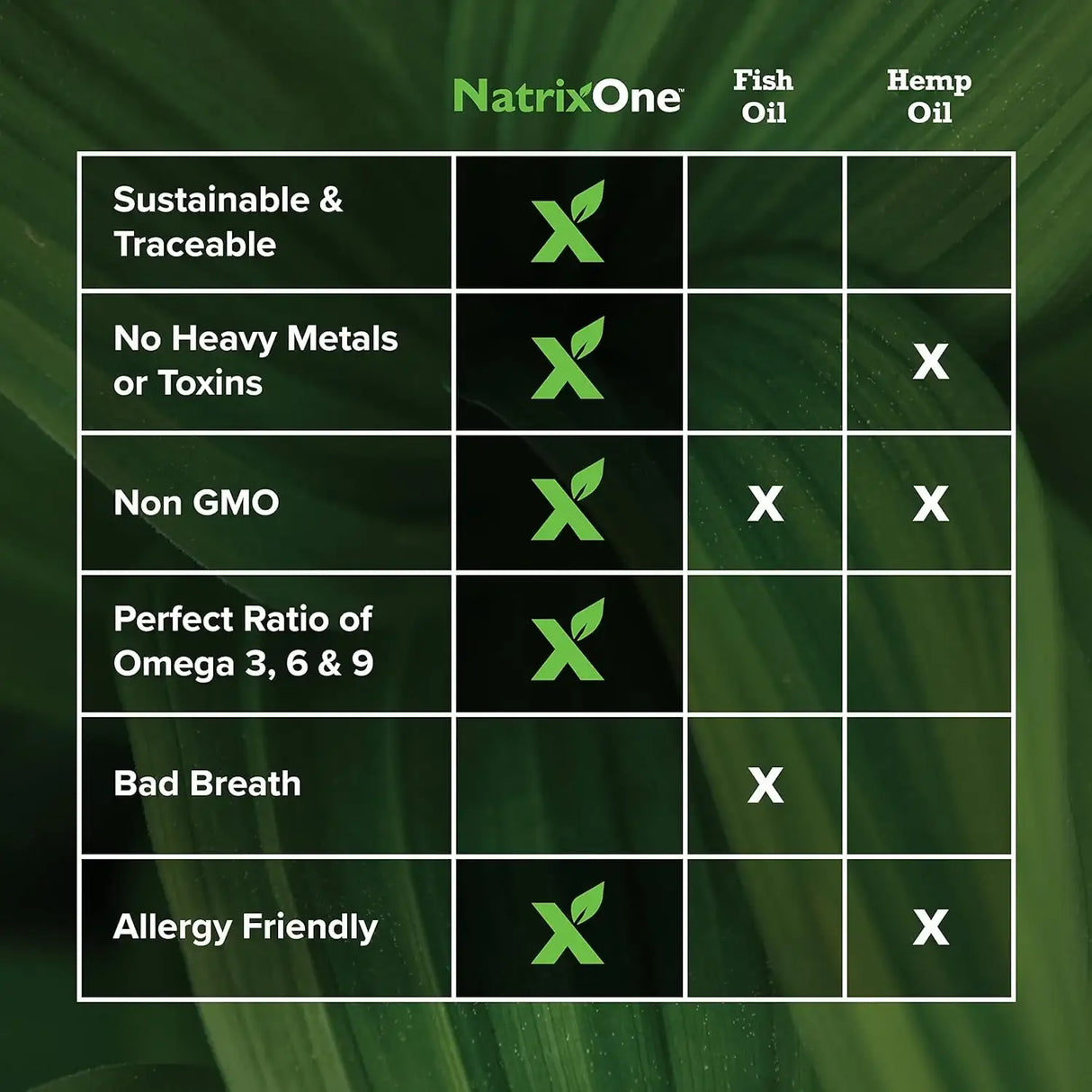 NATRIXONE - NatrixOne Omega 3 for Dogs 16 Fl.Oz. - The Red Vitamin MX - Aceite De Pescado Para Perros - {{ shop.shopifyCountryName }}
