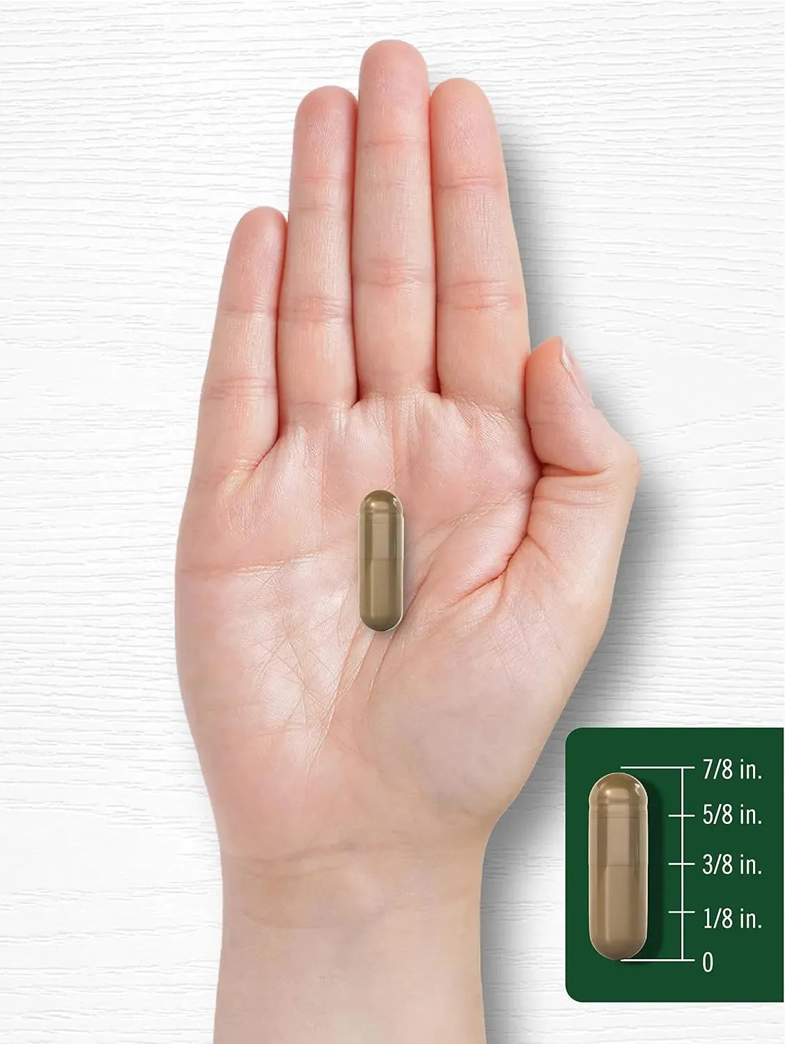 CARLYLE - Carlyle Fennel Seed 480Mg. 200 Capsulas - The Red Vitamin MX - Suplementos Alimenticios - {{ shop.shopifyCountryName }}